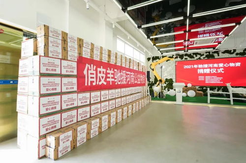馳援河南，俏皮羊在行動 微光匯聚，風雨同舟