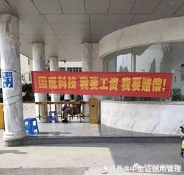 汽車供應(yīng)鏈告急 國(guó)威科技破產(chǎn)背后的產(chǎn)業(yè)警鐘